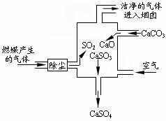 探究气体组成的元素分析 SO₂、O₂与H₂的可能性解析